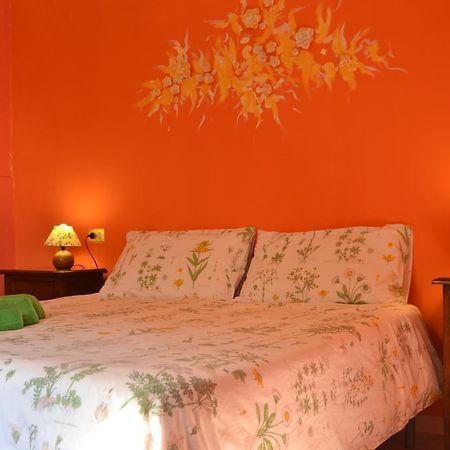 Agriturismo Nizzi Villa Assisi Eksteriør bilde