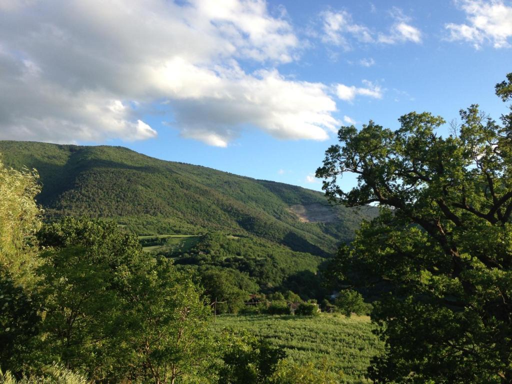 Agriturismo Nizzi Villa Assisi Eksteriør bilde